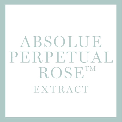 Absolue Perpetual Rose Extract